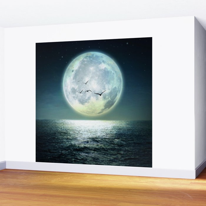Full Moon Wall Mural Gallery Image 2