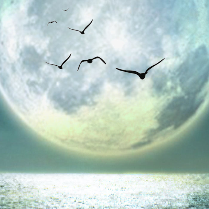 Full Moon Coffee Mug Gallery Image 2
