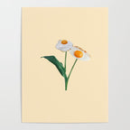 egg plant Poster Gallery Image 4