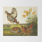 Pinnated Grouse Bird Throw Blanket Gallery Image 2