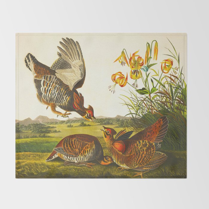 Pinnated Grouse Bird Throw Blanket Gallery Image 2