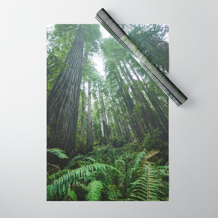 Redwood Forest Adventure IV - National Parks Nature Photography Wrapping Paper Gallery Image 1