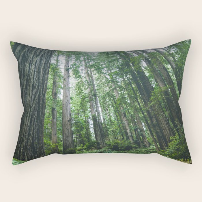 Redwood Forest Adventure IV - National Parks Nature Photography Rectangular Pillow Gallery Image 2