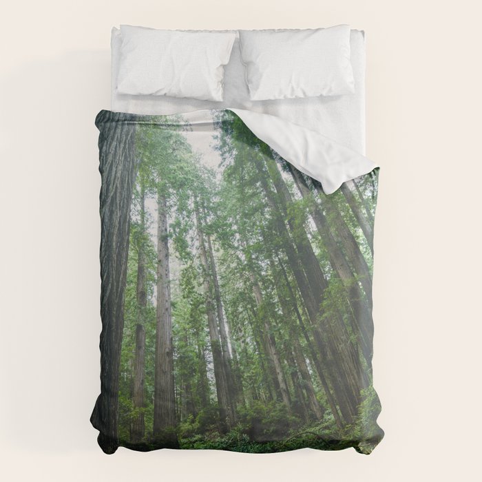 Redwood Forest Adventure IV - National Parks Nature Photography Duvet Cover Gallery Image 6