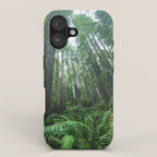 Redwood Forest Adventure IV - National Parks Nature Photography iPhone Case Gallery Image 1
