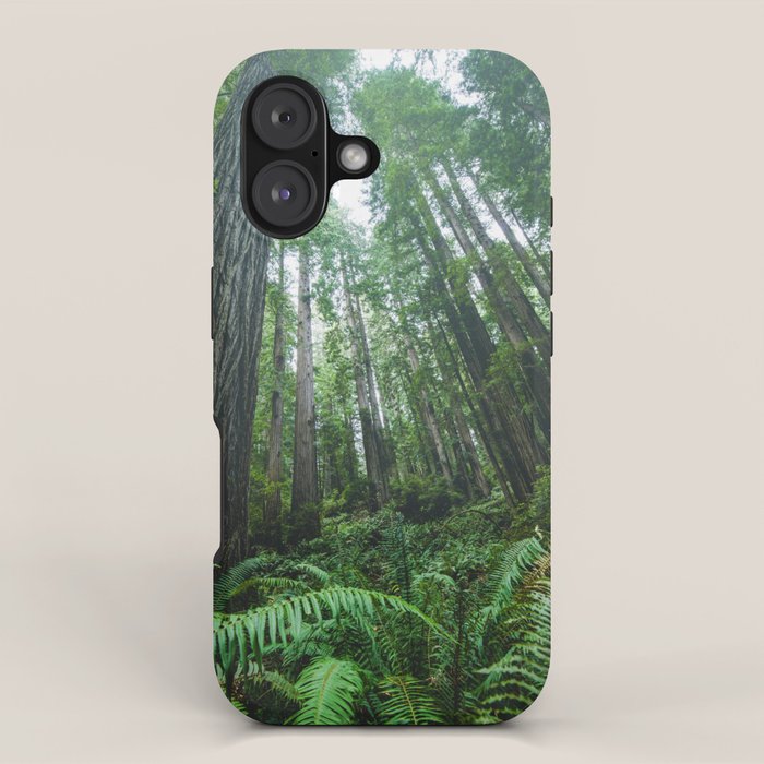 Redwood Forest Adventure IV - National Parks Nature Photography iPhone Case Gallery Image 1