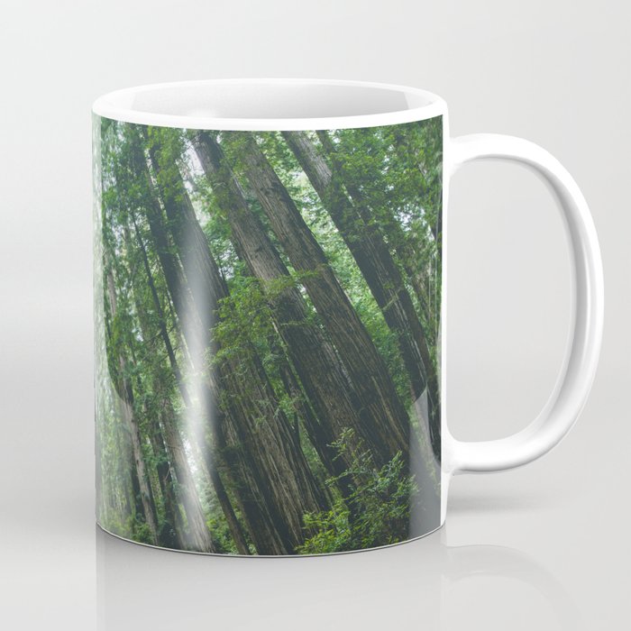 Redwood Forest Adventure IV - National Parks Nature Photography Coffee Mug Gallery Image 1