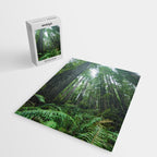 Redwood Forest Adventure IV - National Parks Nature Photography Jigsaw Puzzle Gallery Image 2