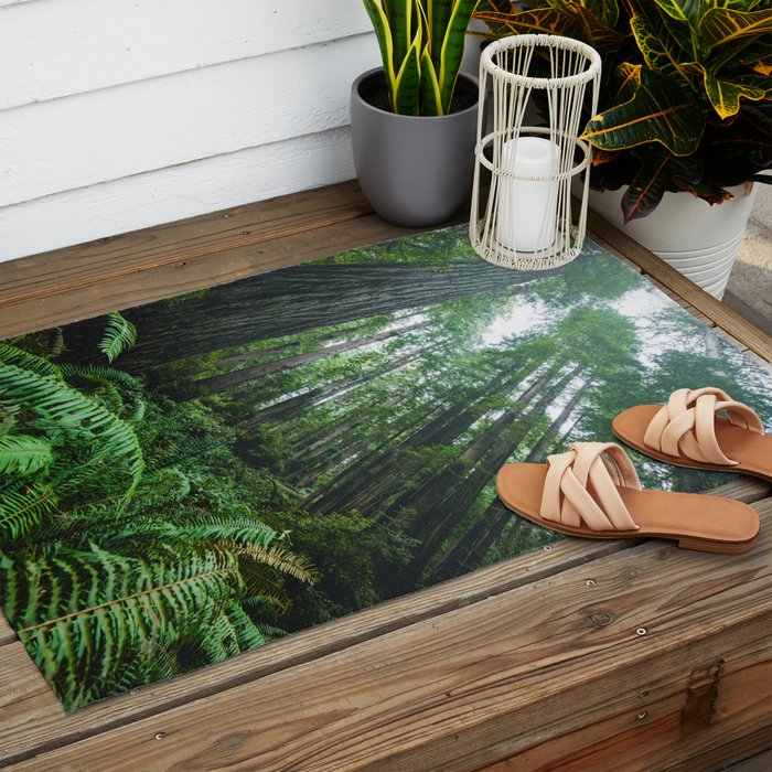 Redwood Forest Adventure IV - National Parks Nature Photography Outdoor Rug Gallery Image 2
