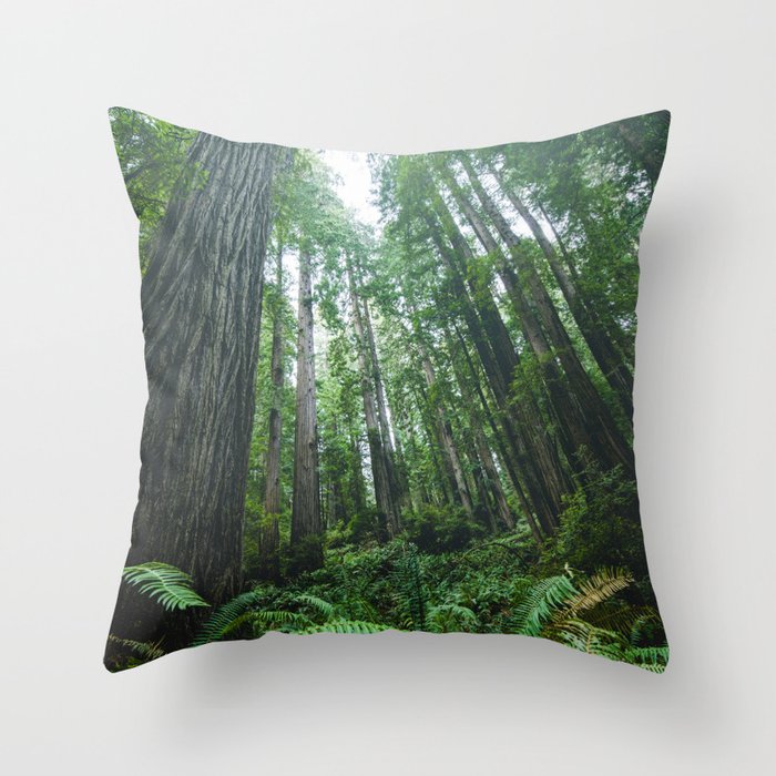 Redwood Forest Adventure IV - National Parks Nature Photography Throw Pillow Gallery Image 6