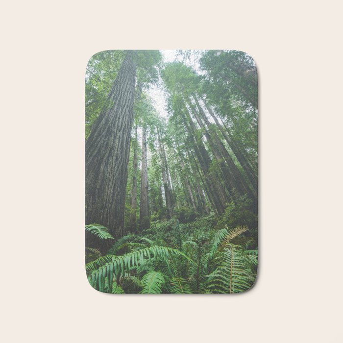 Redwood Forest Adventure IV - National Parks Nature Photography Bath Mat Gallery Image 1