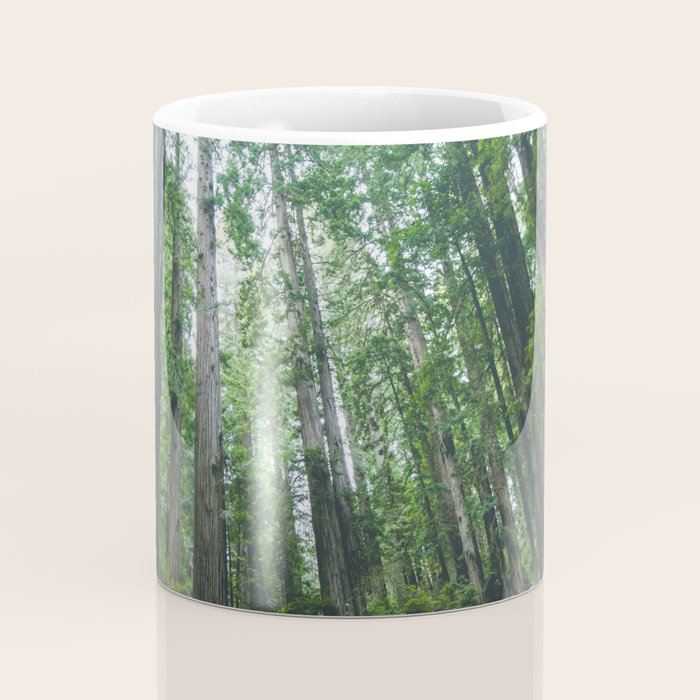 Redwood Forest Adventure IV - National Parks Nature Photography Coffee Mug Gallery Image 4