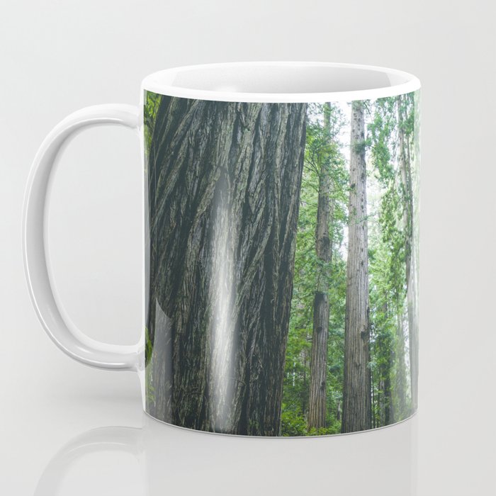 Redwood Forest Adventure IV - National Parks Nature Photography Coffee Mug Gallery Image 3