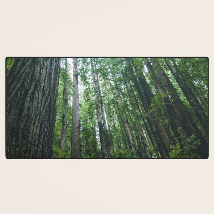 Redwood Forest Adventure IV - National Parks Nature Photography Desk Mat Gallery Image 3