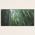 Redwood Forest Adventure IV - National Parks Nature Photography Desk Mat Gallery Image 3
