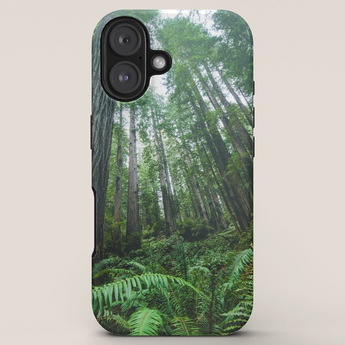 Redwood Forest Adventure IV - National Parks Nature Photography iPhone Case Gallery Image 5