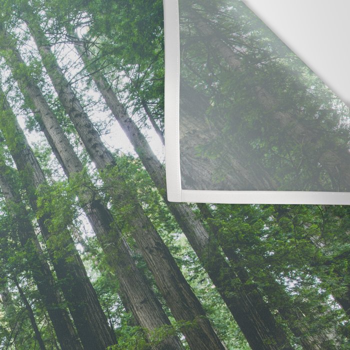 Redwood Forest Adventure IV - National Parks Nature Photography Wall Tapestry Gallery Image 3
