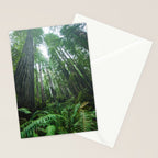 Redwood Forest Adventure IV - National Parks Nature Photography Stationery Card Gallery Image 2