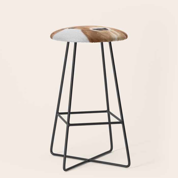 Calf - Colorful Stool Gallery Image 1