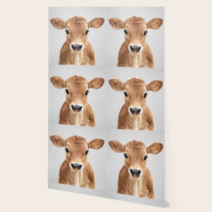 Calf - Colorful Wallpaper Gallery Image 2