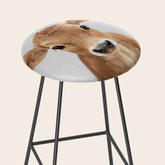 Calf - Colorful Stool Gallery Image 2