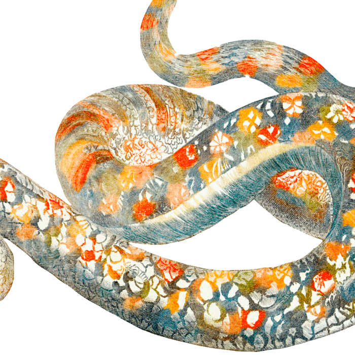 A snake by Johan Teyler  Coffee Mug Gallery Image 2