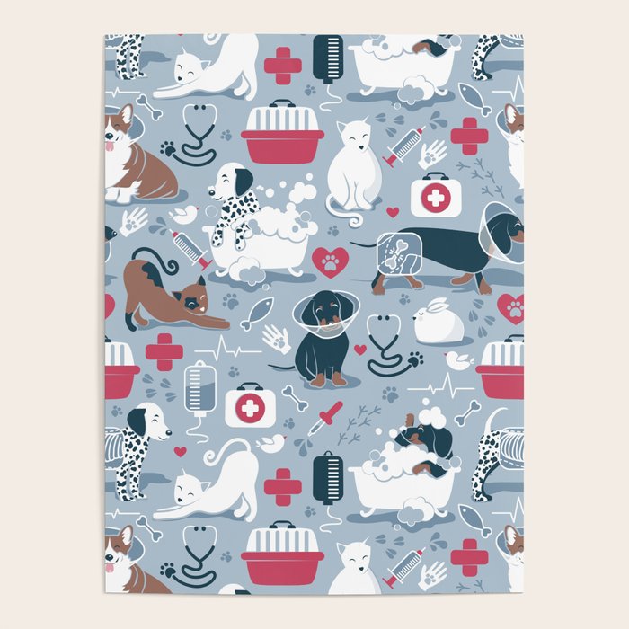 Veterinary medicine, happy and healthy friends // pastel blue background Poster Gallery Image 1