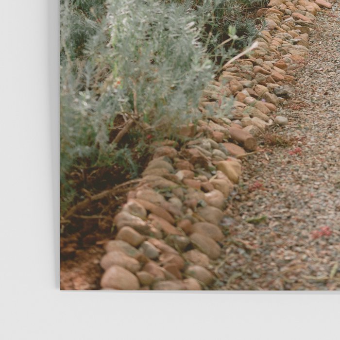 Botanical paradise | Morocco travel photography Poster Gallery Image 3
