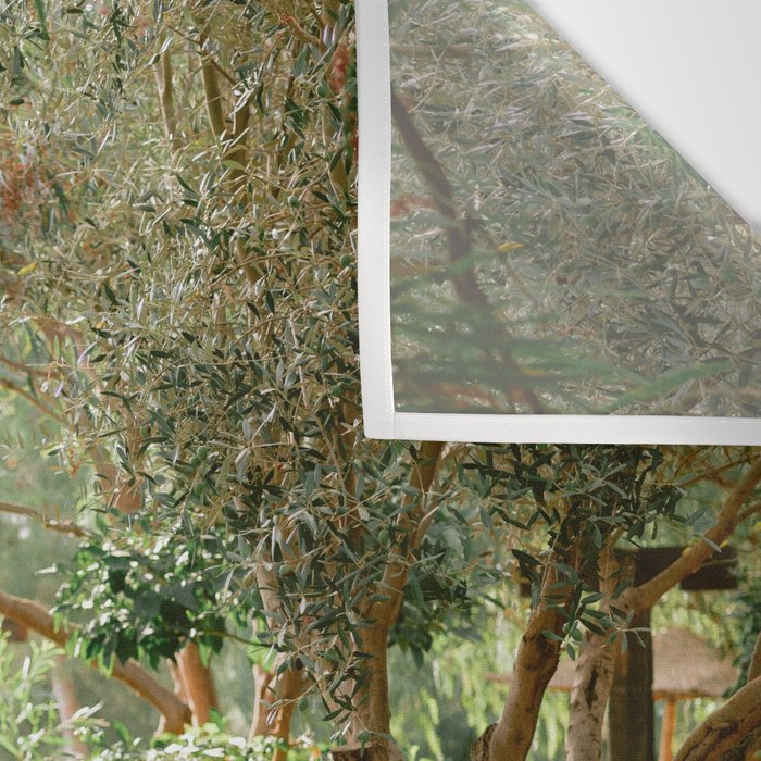 Botanical paradise | Morocco travel photography Wall Tapestry Gallery Image 3
