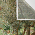 Botanical paradise | Morocco travel photography Wall Tapestry Gallery Image 3