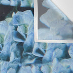 Breath of Fresh Air Wall Tapestry Gallery Image 3
