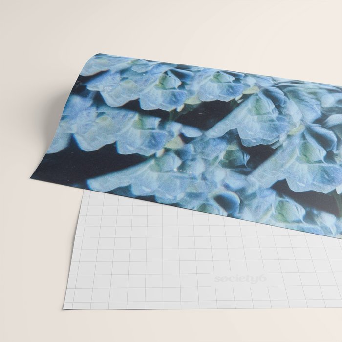 Breath of Fresh Air Wrapping Paper Gallery Image 2