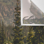 Mount Rainier Wildflower Adventure VI - Pacific Northwest Mountain Forest Wanderlust Wall Tapestry Gallery Image 3