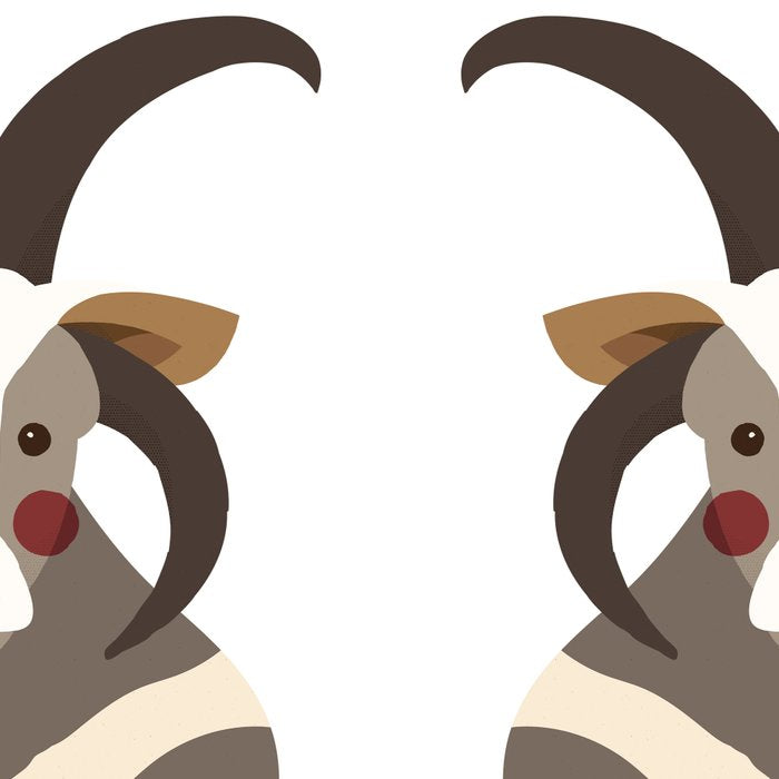Jacob Sheep Animal Portrait Coffee Mug Gallery Image 2