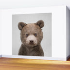 Baby Bear - Colorful Wall Mural Gallery Image 2