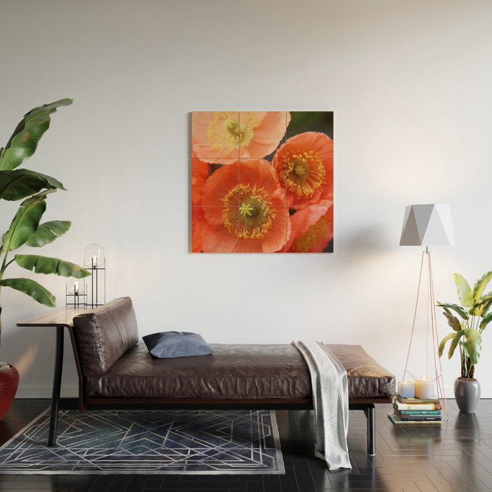 May Sunshine Wood Wall Art Gallery Image 2