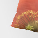 May Sunshine Pillow Sham Gallery Image 4