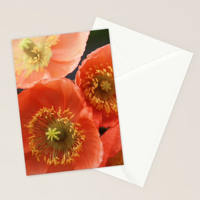 May Sunshine Stationery Card Gallery Image 2