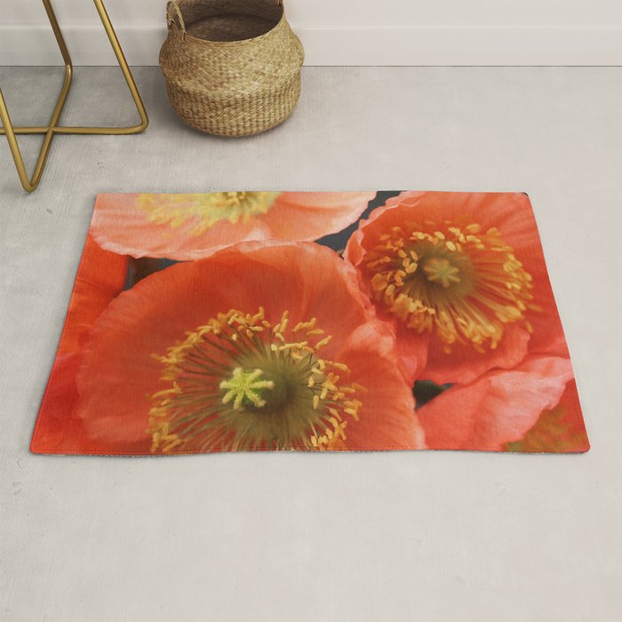 May Sunshine Rug Gallery Image 1