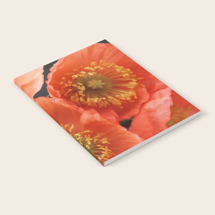 May Sunshine Notebook Gallery Image 2
