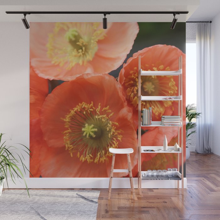 May Sunshine Wall Mural Gallery Image 1