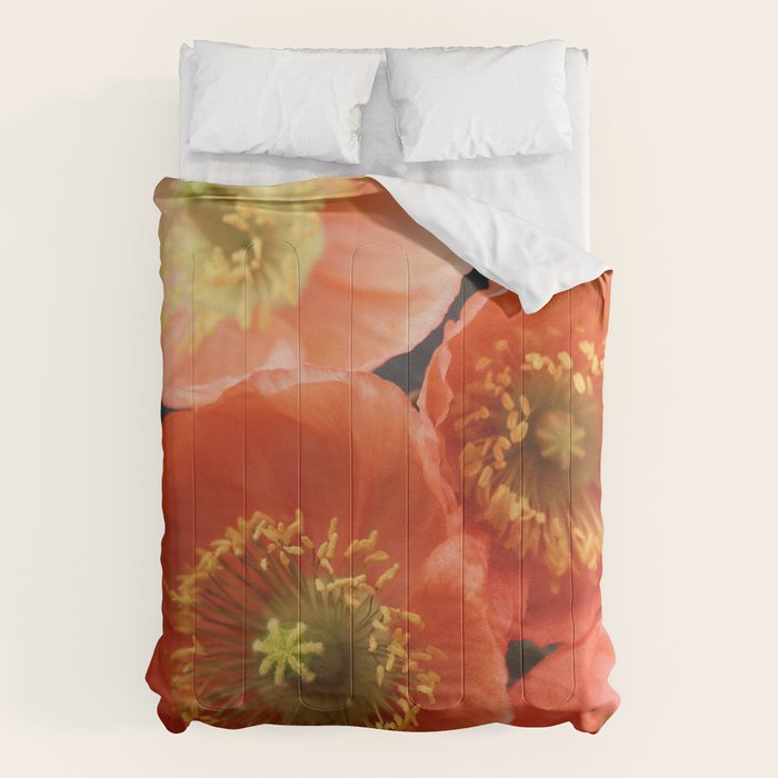 May Sunshine Comforter Gallery Image 6