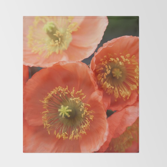 May Sunshine Throw Blanket Gallery Image 2
