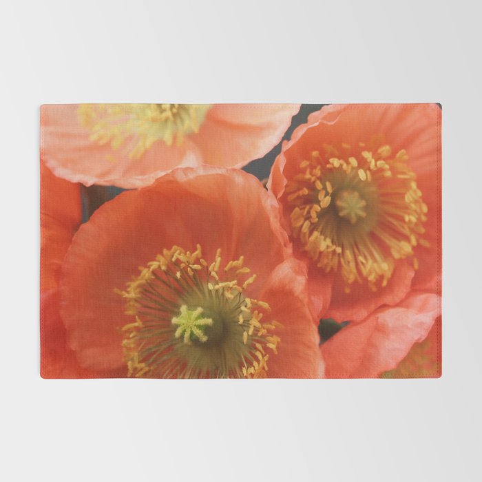 May Sunshine Rug Gallery Image 2