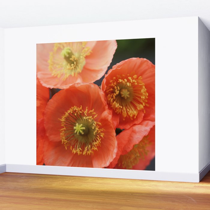 May Sunshine Wall Mural Gallery Image 2