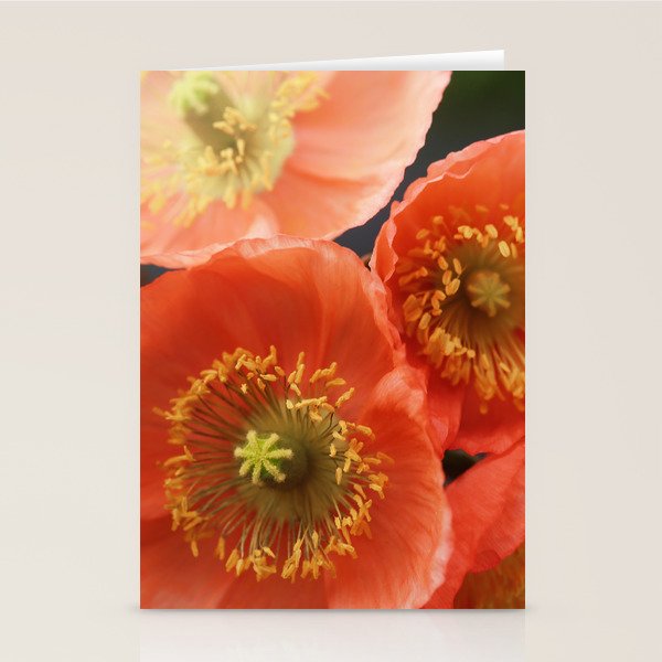May Sunshine Stationery Card Gallery Image 1