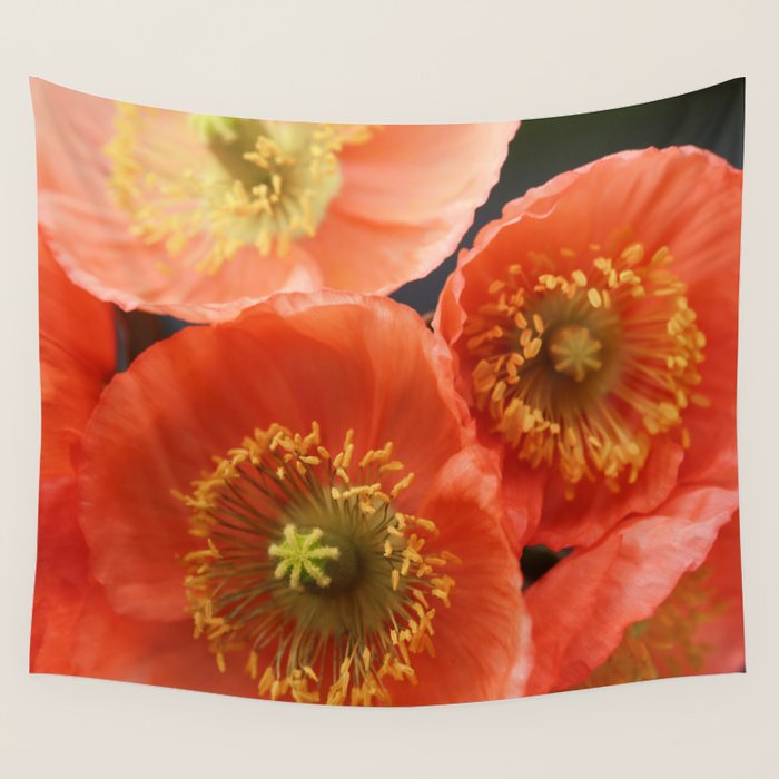 May Sunshine Wall Tapestry Gallery Image 4