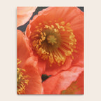 May Sunshine Notebook Gallery Image 4