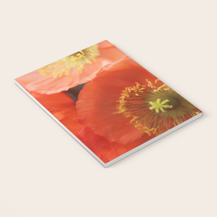 May Sunshine Notebook Gallery Image 3
