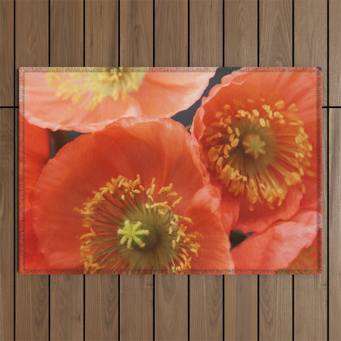 May Sunshine Outdoor Rug Gallery Image 1
